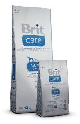 BRIT Care Adult, Large Breed