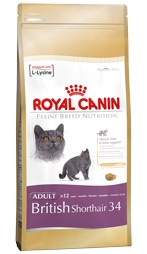 Royal Canin British shorthair 34