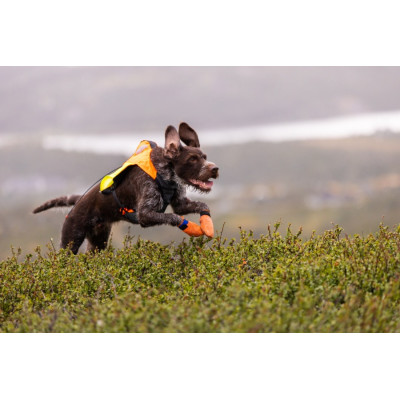 Reflexní vesta PROTECTOR GPS2.0 Non-stop dogwear