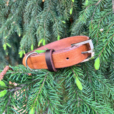 Kožený obojek Ares široký 2,5 cm