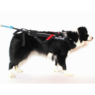 Postroj freemotion Non stop Dogwear