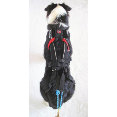 Postroj freemotion Non stop Dogwear