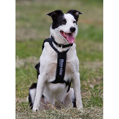 Postroj freemotion Non stop Dogwear