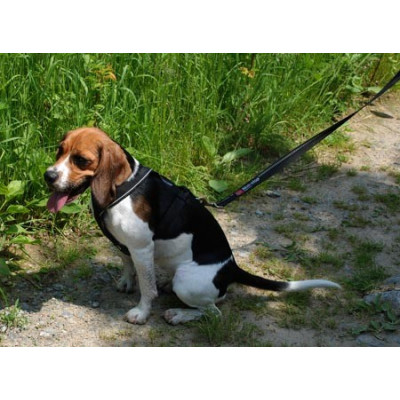 Non-stop Dogwear Line Harness 5.0 | Univerzální postroj pro psy