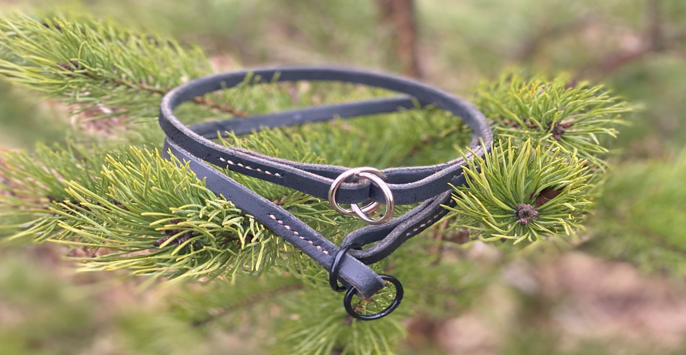 Jak správně pečovat o kožený obojek pro loveckého psa